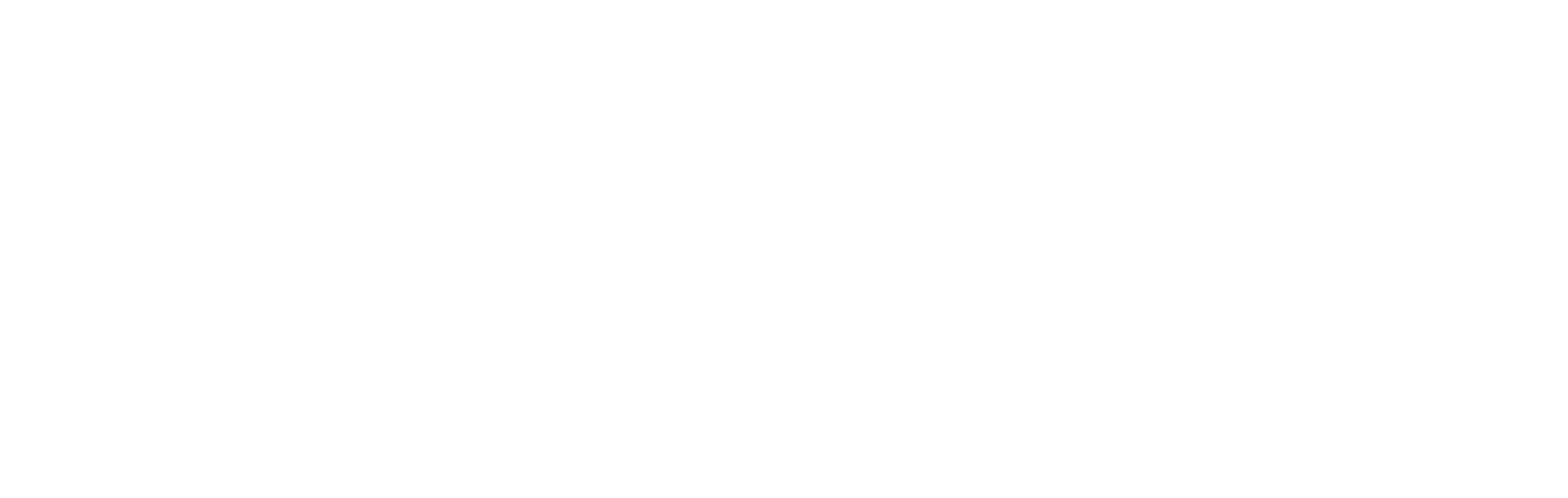 Boaz Services Group Gutter Menu Logo